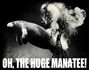 ohthehugemanatee.jpg